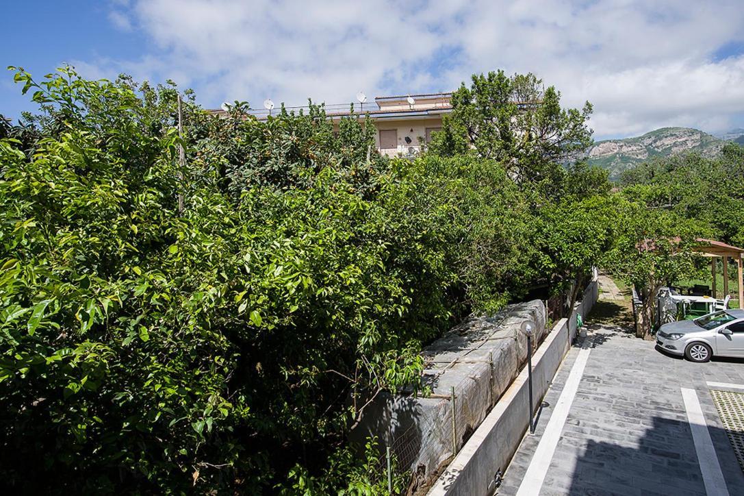 Casa Aristide Panzió Sant'Agnello Kültér fotó